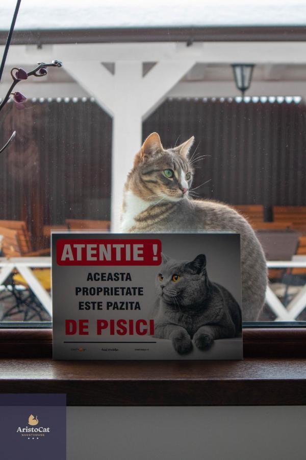 Aristocat Hotels Rasnov Extérieur photo