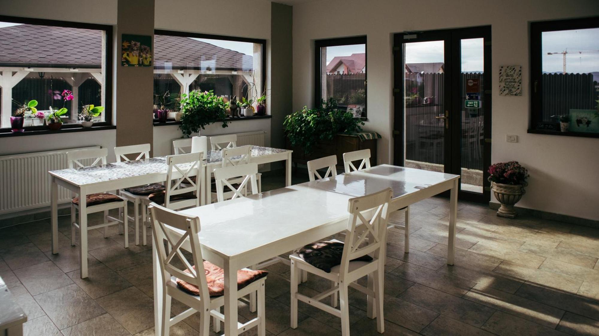 Aristocat Hotels Rasnov Extérieur photo